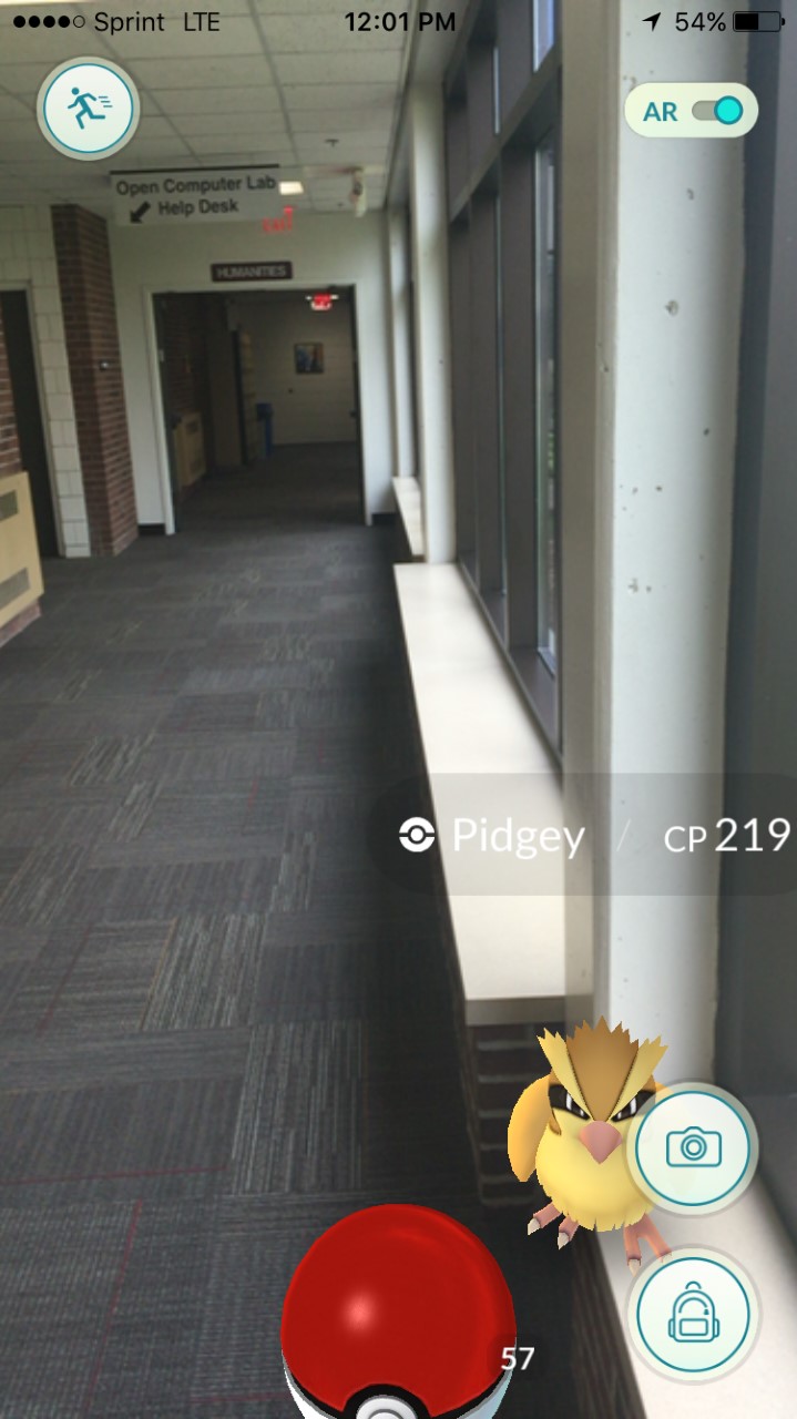 Pidgey on campus